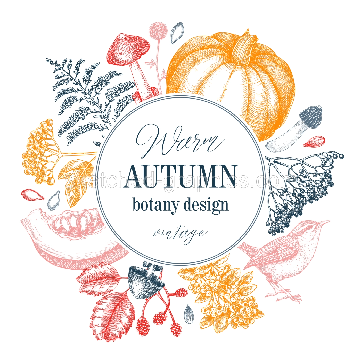 Vintage autumn wreath design. Thanksgiving background. Fall leaves, pumpkins, berries, mushrooms sketches. Hand-drawn vector illustration. NOT AI generated Illustration